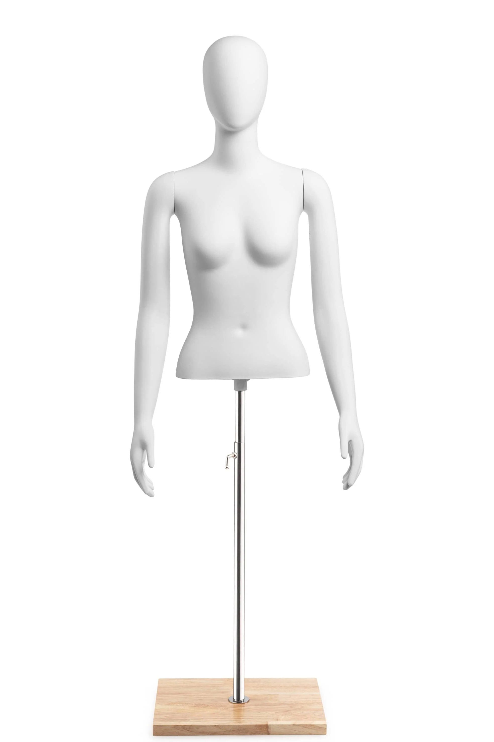 Female Egghead Torso Mannequin with Removable Arms - Image 241
