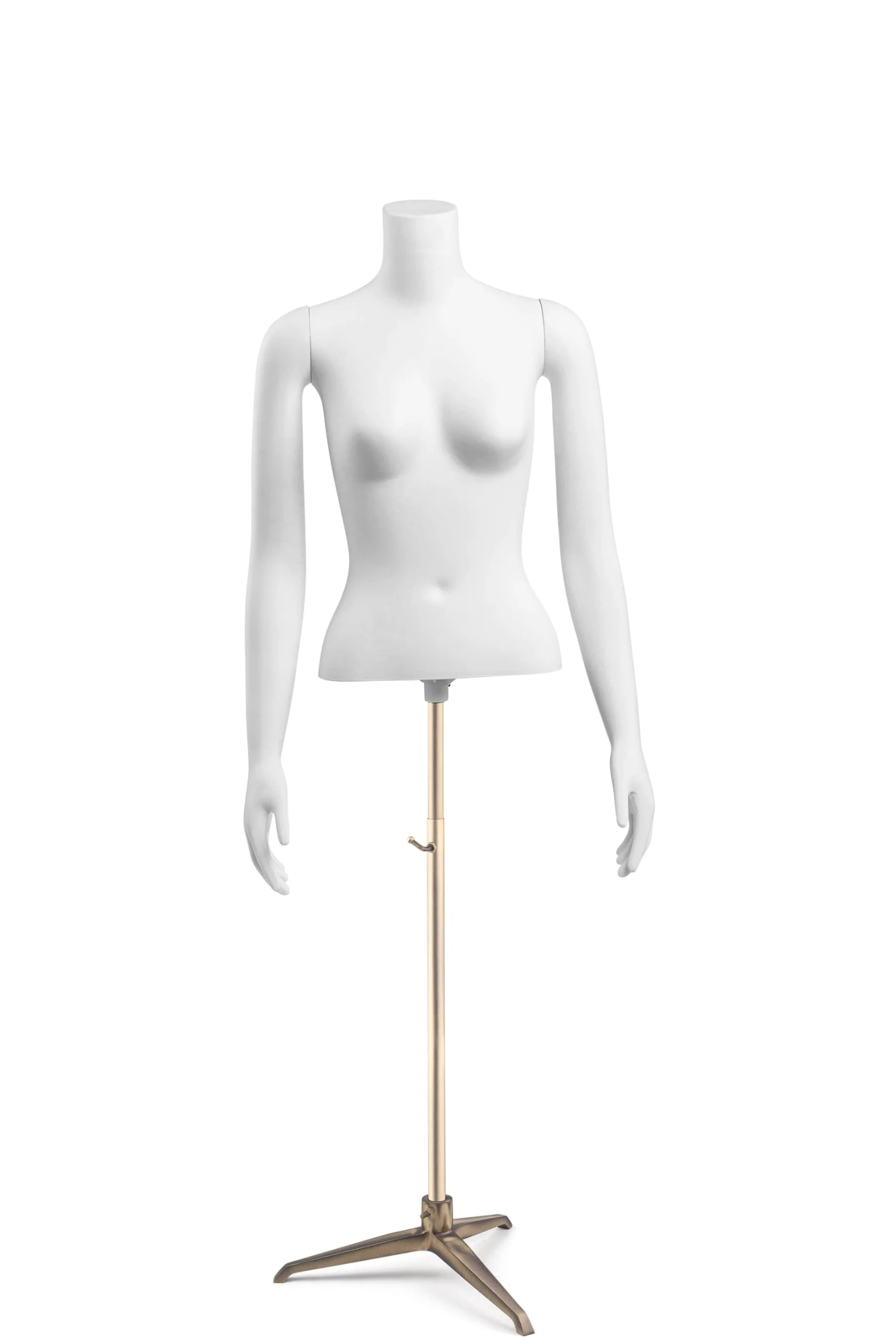 Female Headless Torso Mannequin with Removable Arms - Image 219