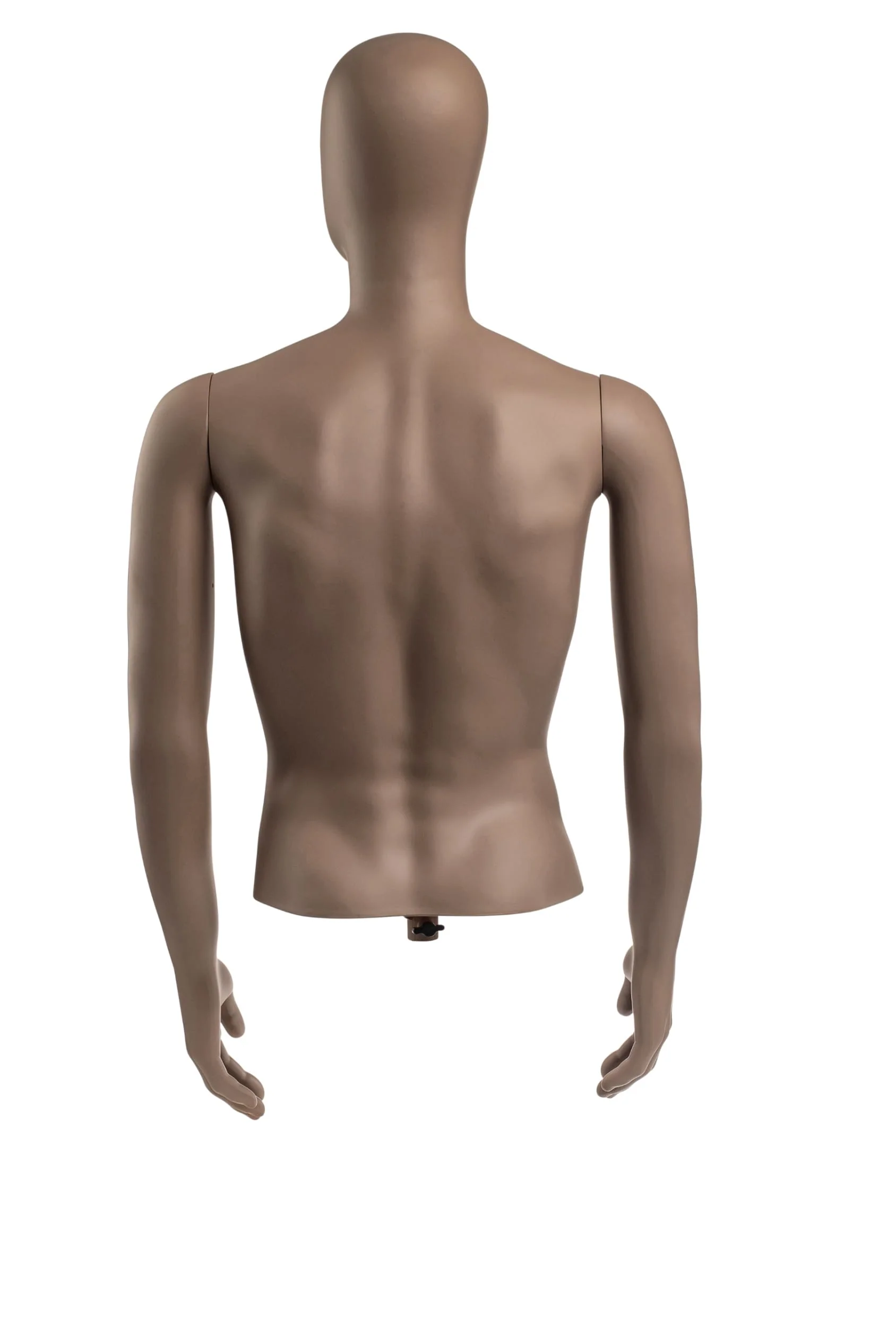Male Egghead Torso Mannequin with Removable Arms - Image 130