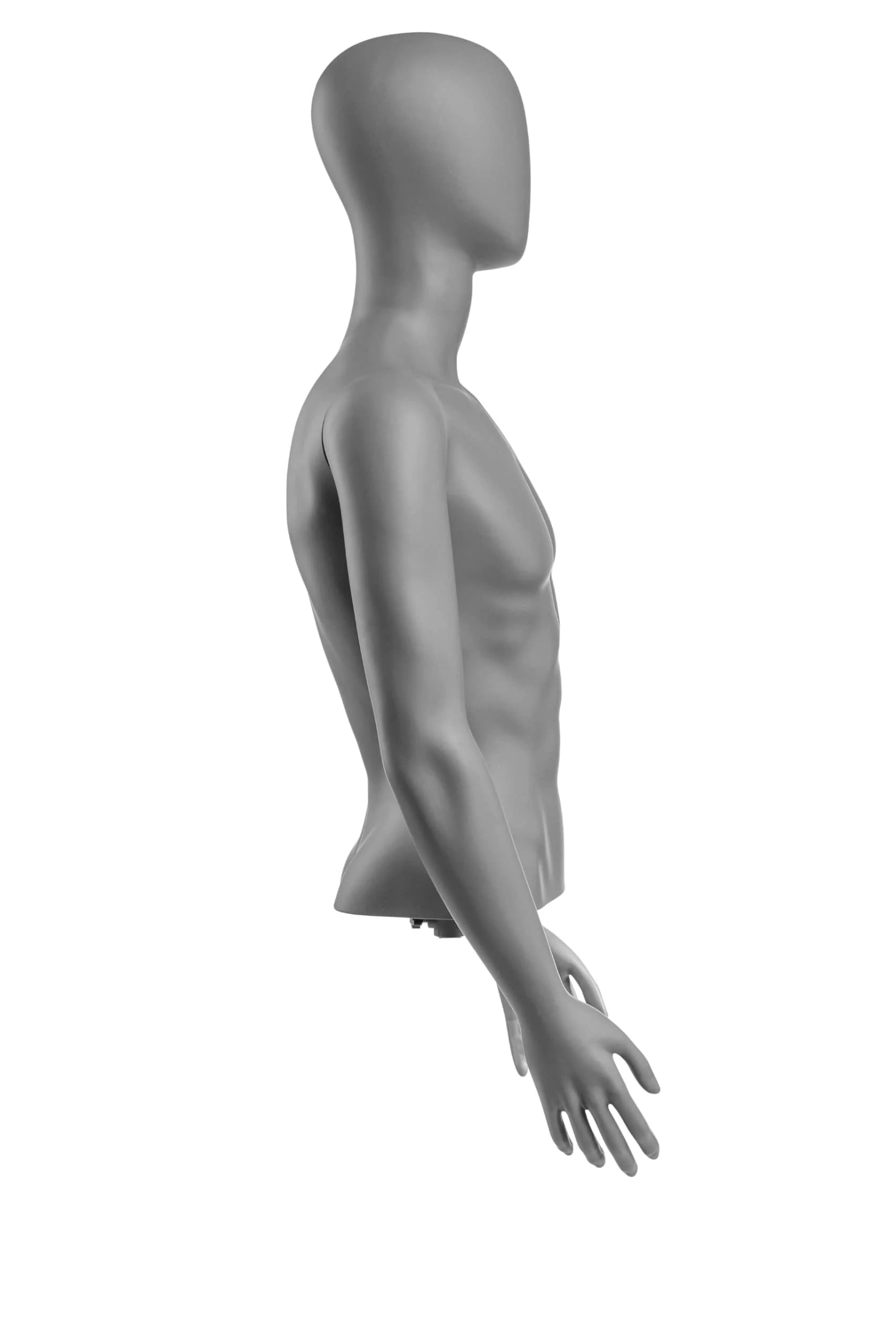 Male Egghead Torso Mannequin with Removable Arms - Image 166