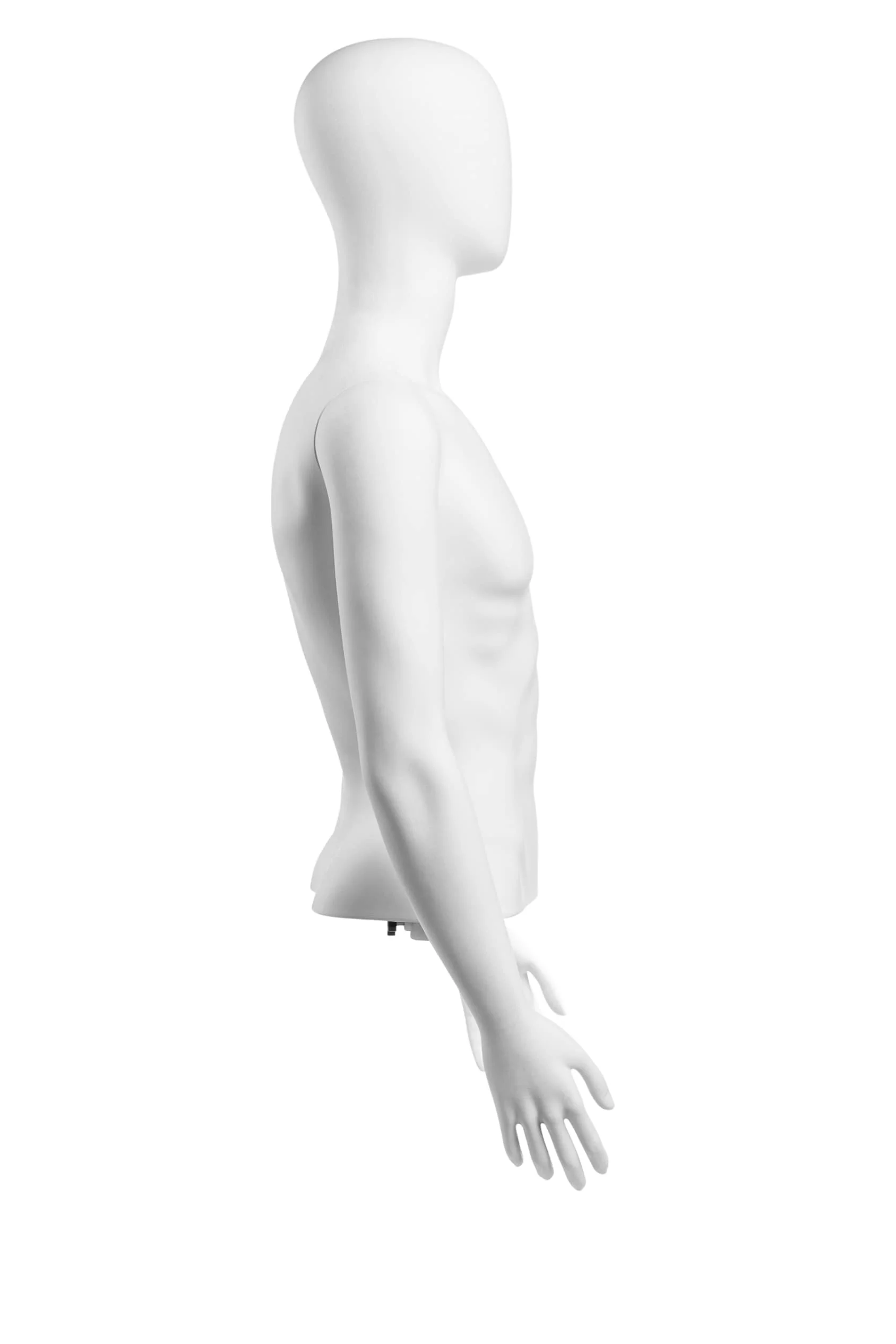 Male Egghead Torso Mannequin with Removable Arms - Image 186