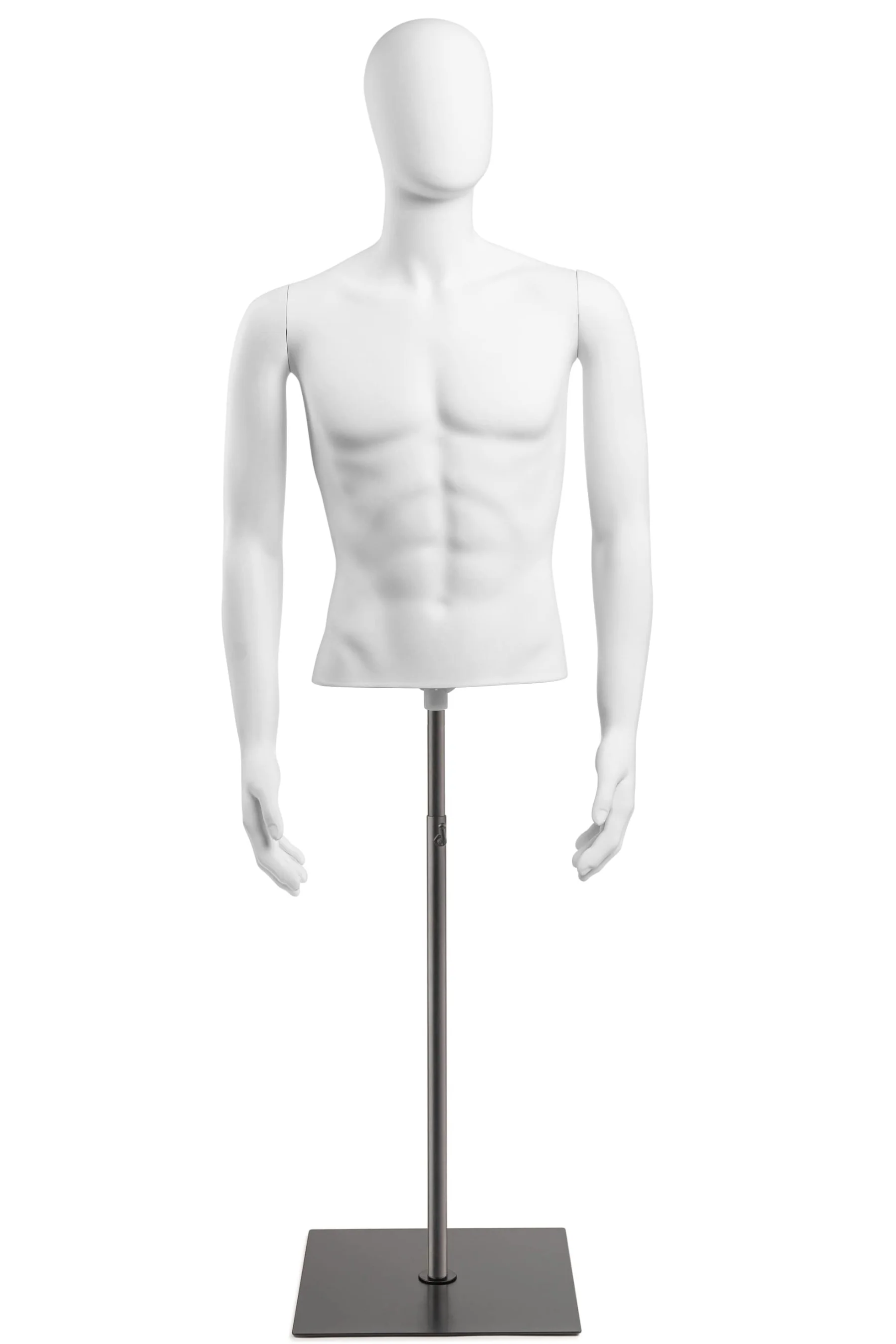 Male Egghead Torso Mannequin with Removable Arms - Image 196