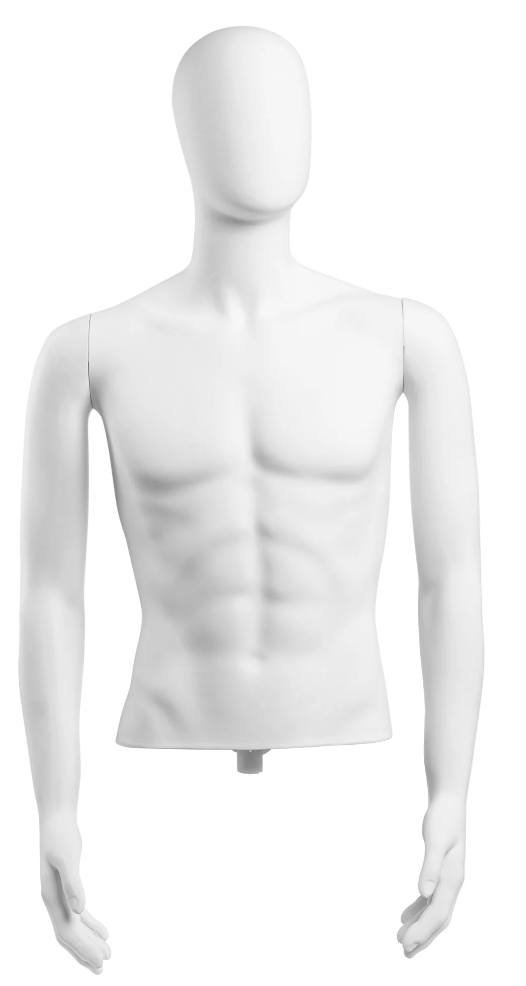 Male Egghead Torso Mannequin with Removable Arms - Image 201