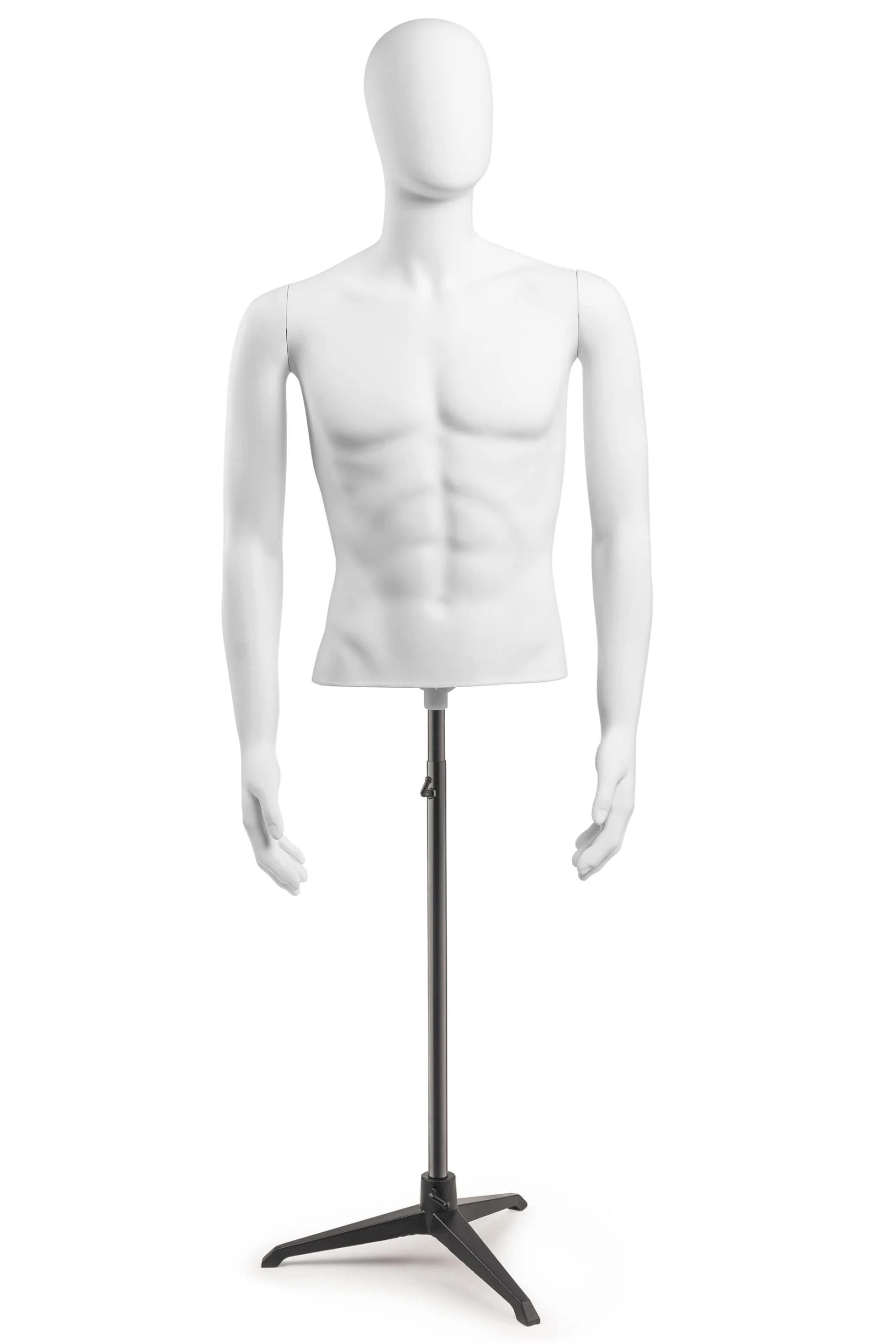 Male Egghead Torso Mannequin with Removable Arms - Image 220