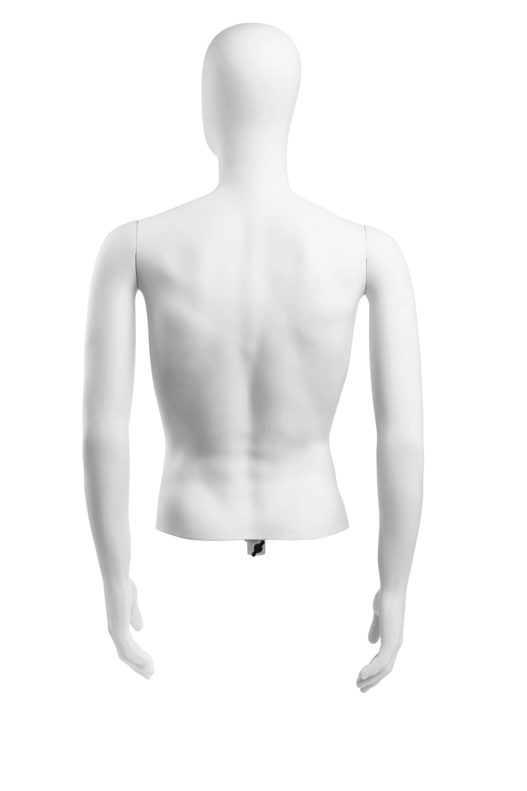 Male Egghead Torso Mannequin with Removable Arms - Image 231