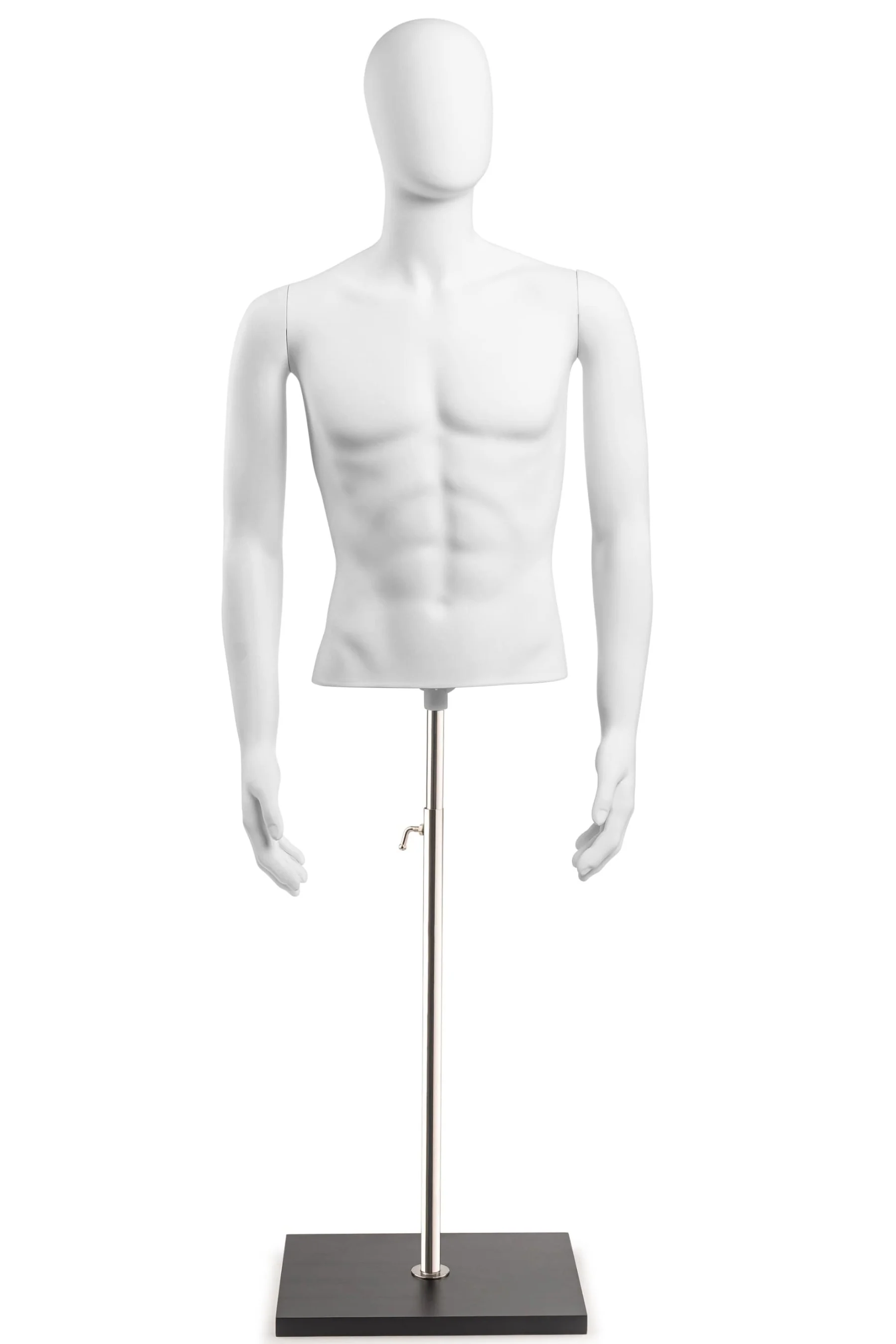 Male Egghead Torso Mannequin with Removable Arms - Image 232