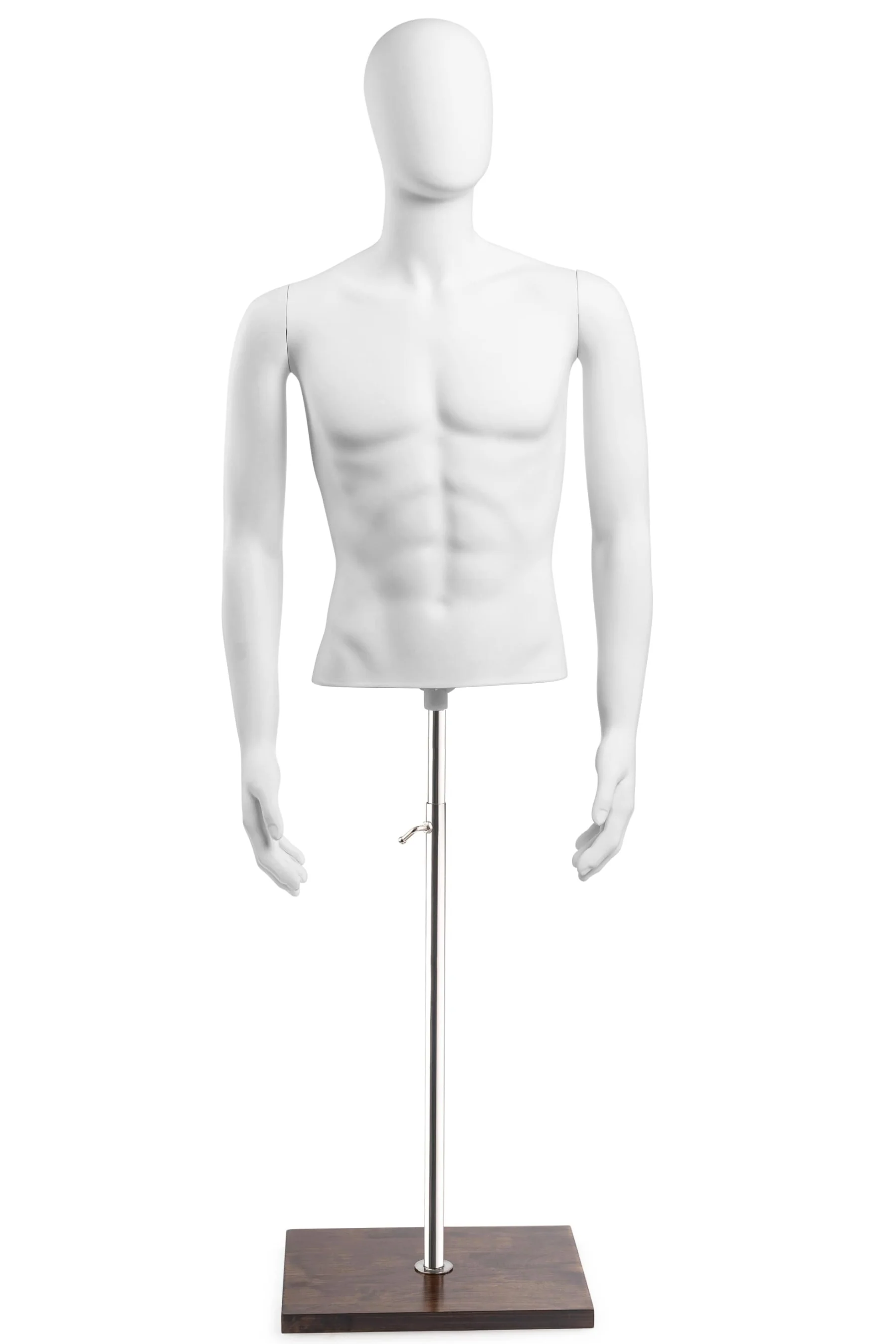 Male Egghead Torso Mannequin with Removable Arms - Image 236