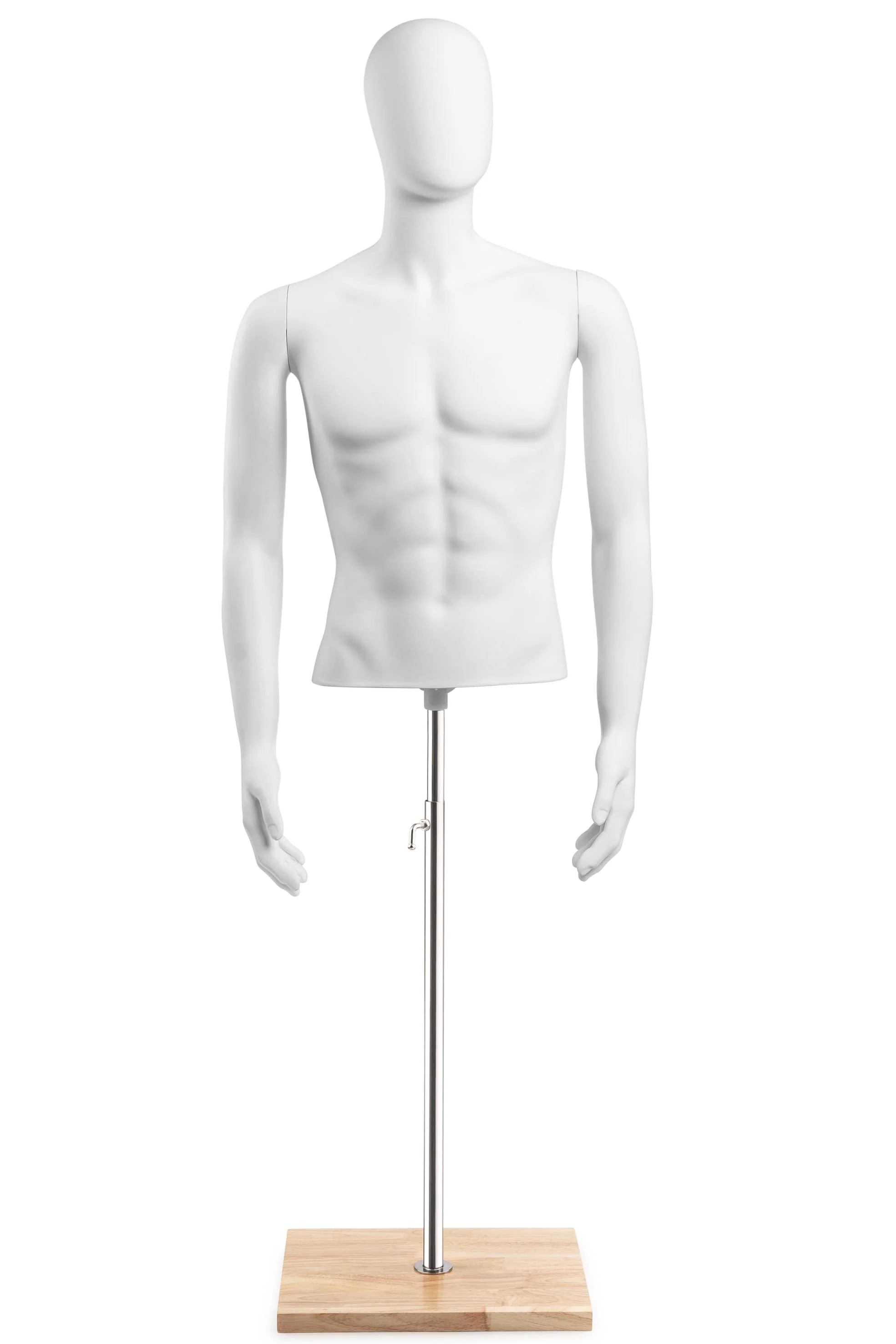 Male Egghead Torso Mannequin with Removable Arms - Image 239