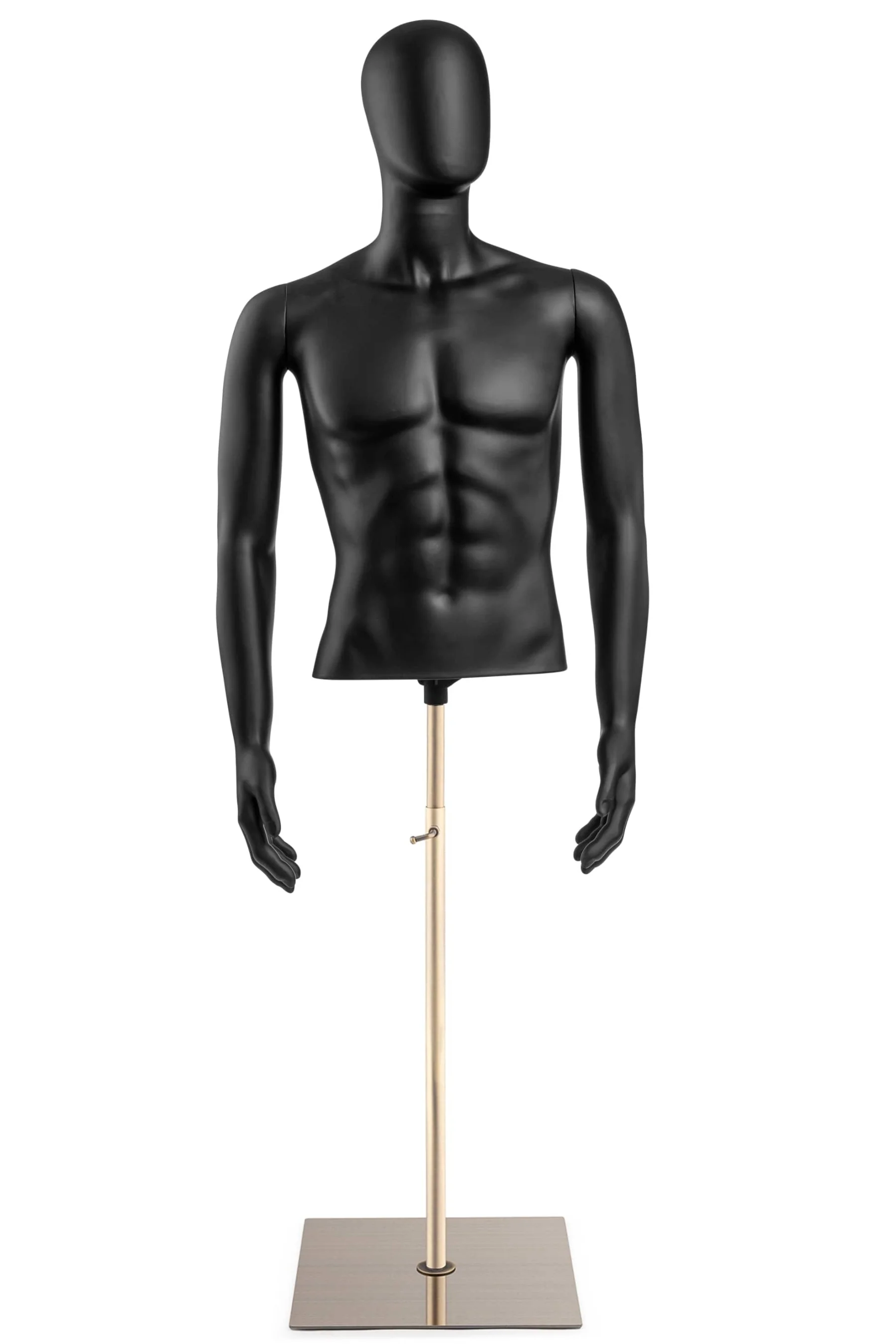 Male Egghead Torso Mannequin with Removable Arms - Image 33