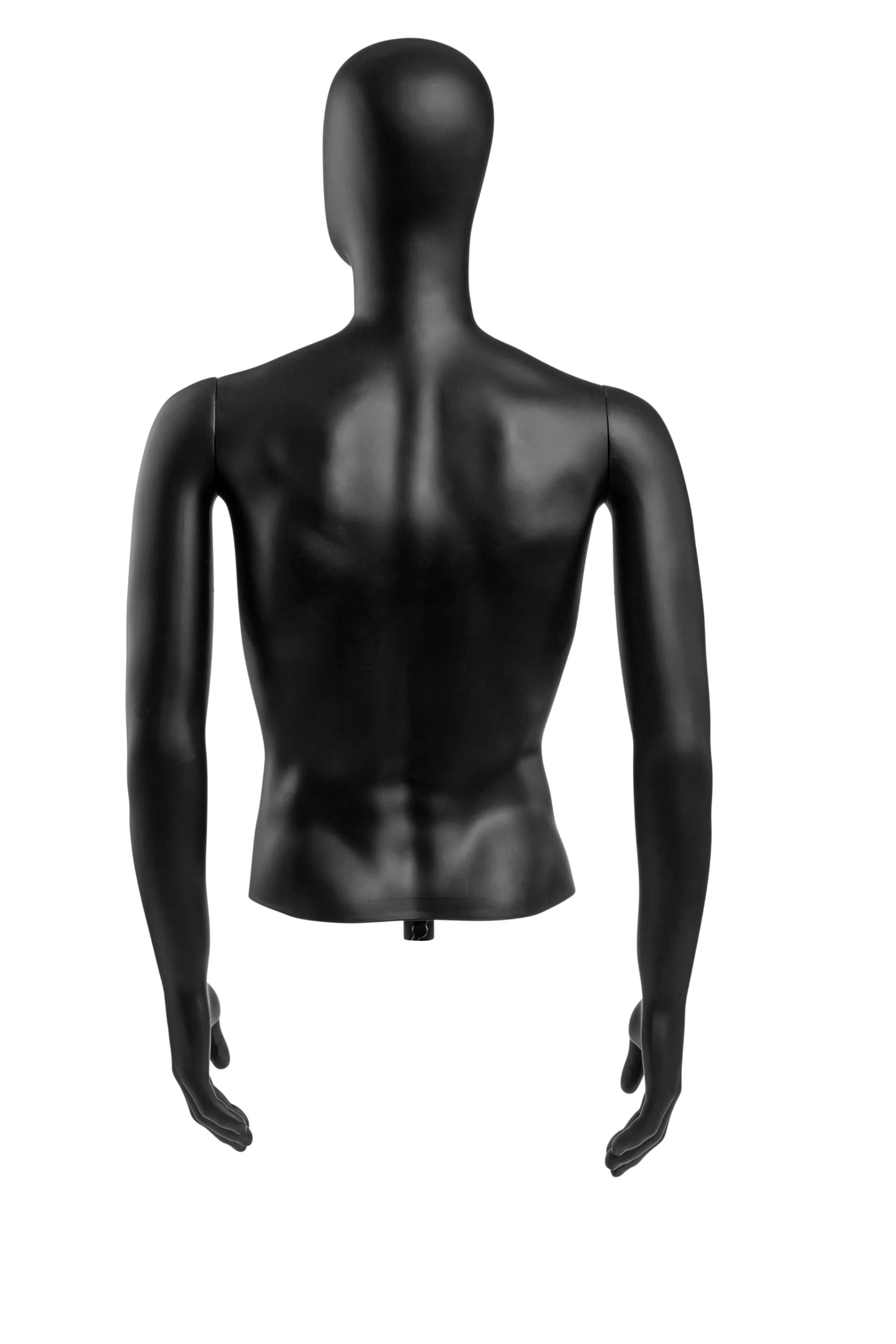 Male Egghead Torso Mannequin with Removable Arms - Image 64