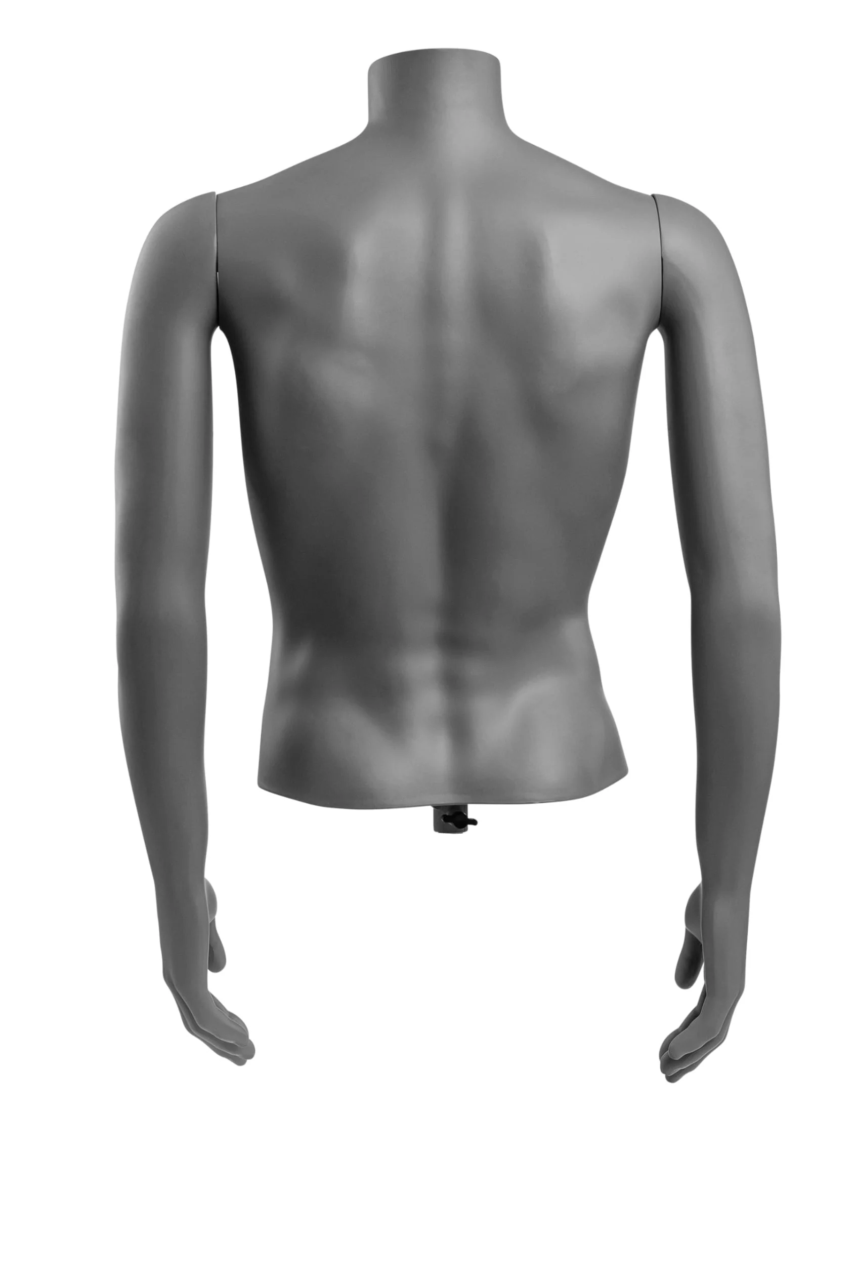 Male Headless Torso Mannequin with Removable Arms - Image 166