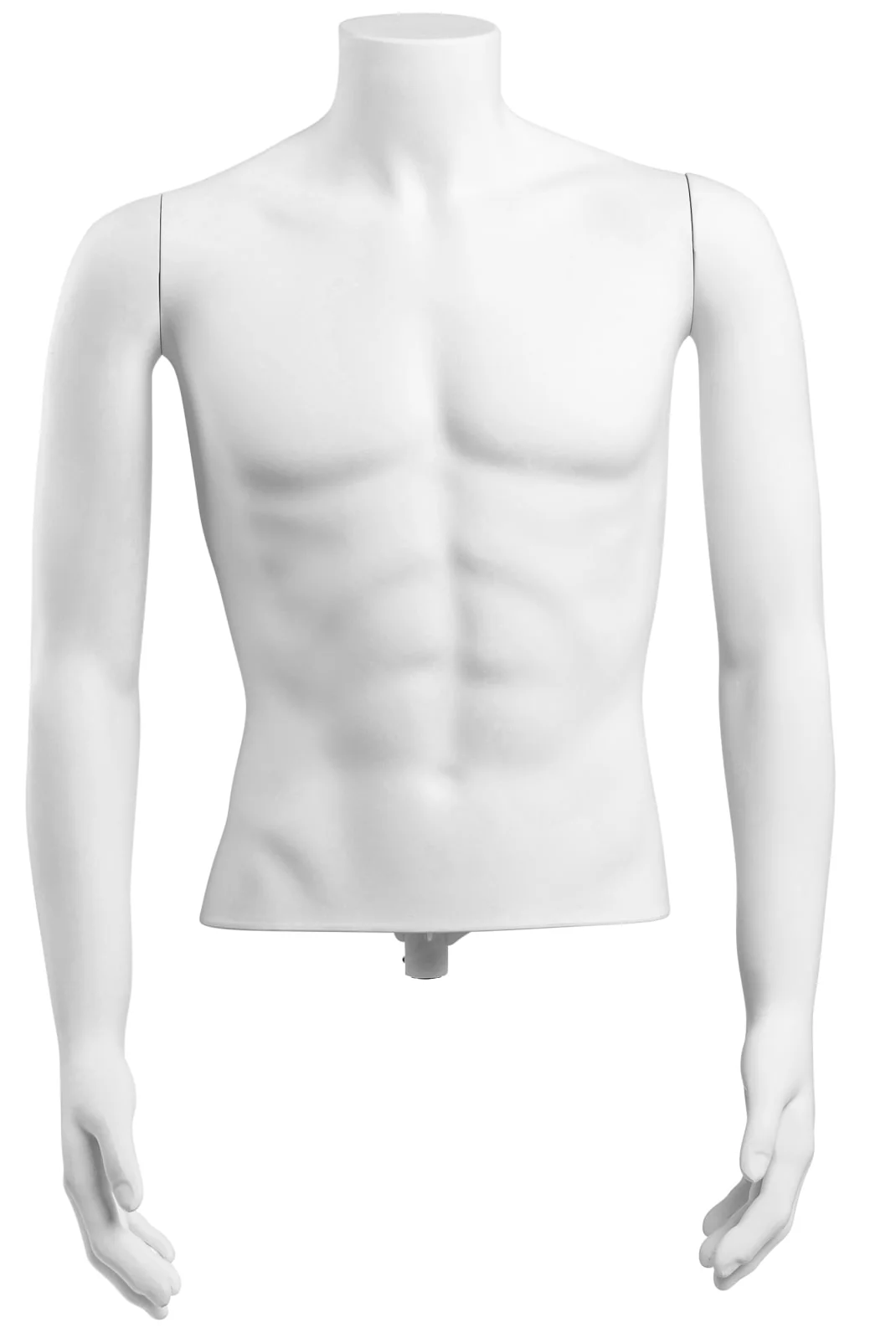 Male Headless Torso Mannequin with Removable Arms - Image 192