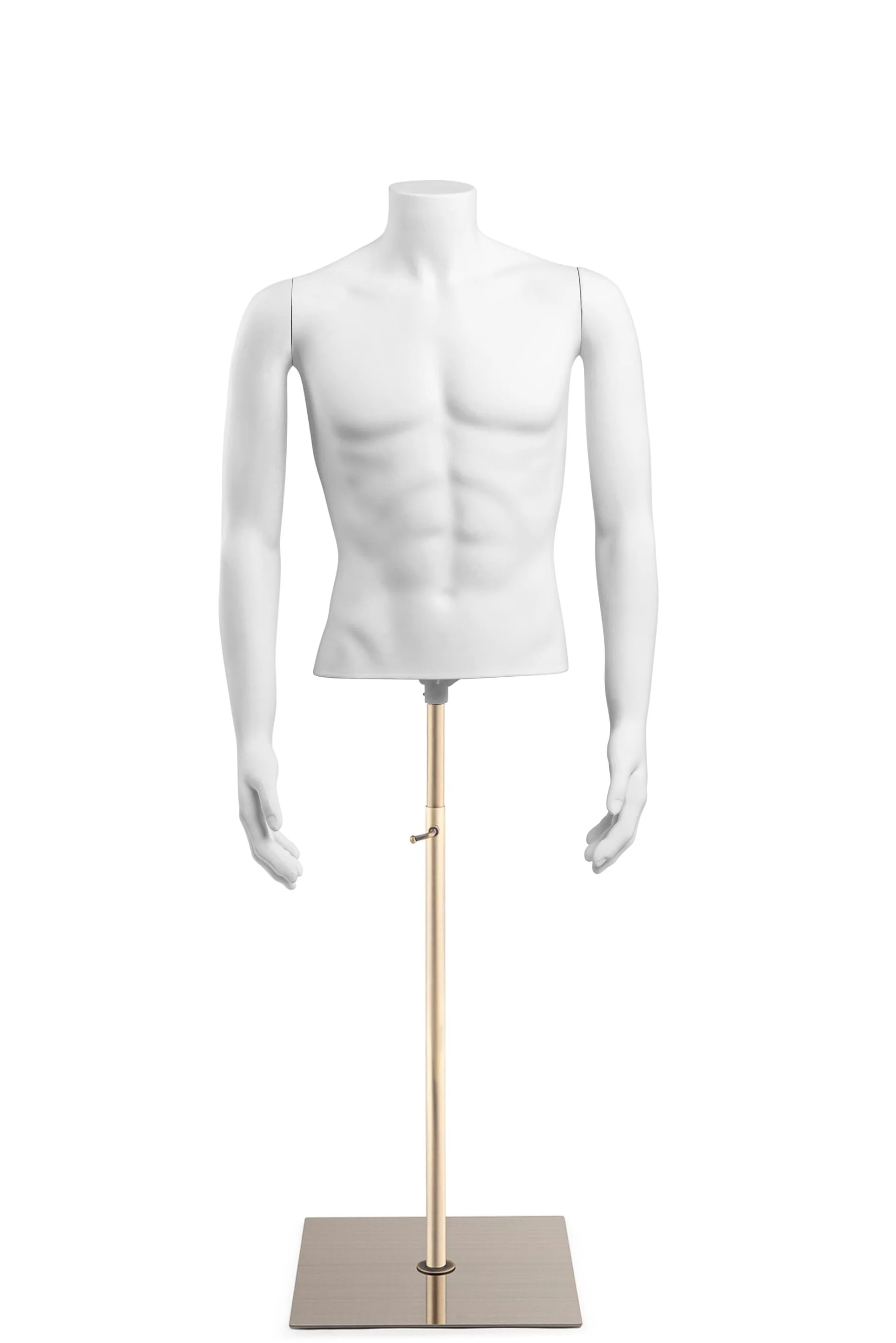 Male Headless Torso Mannequin with Removable Arms - Image 203
