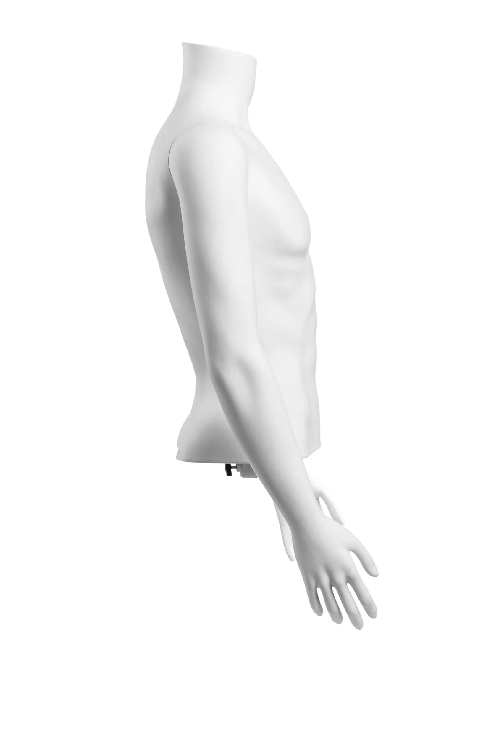 Male Headless Torso Mannequin with Removable Arms - Image 221