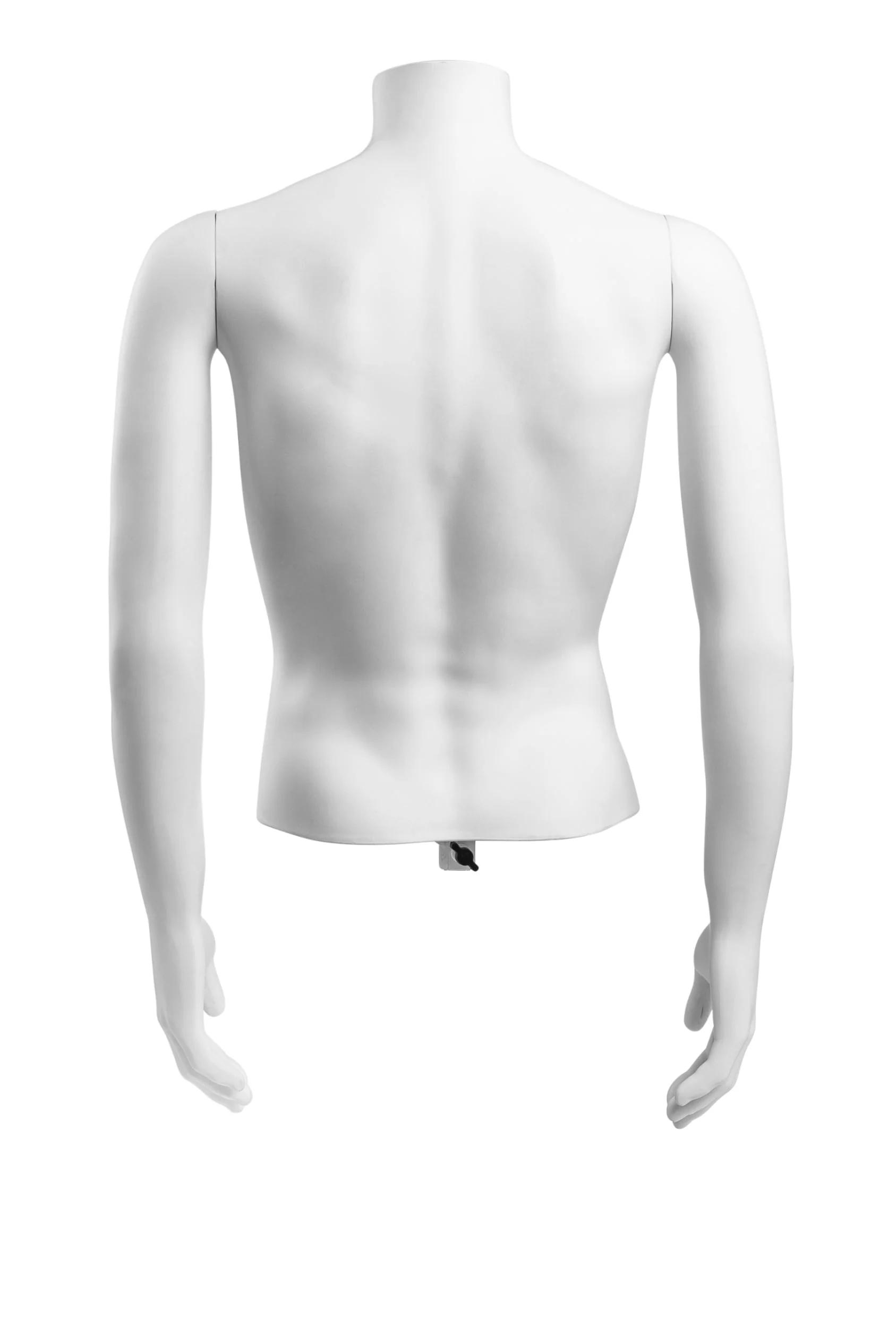 Male Headless Torso Mannequin with Removable Arms - Image 238