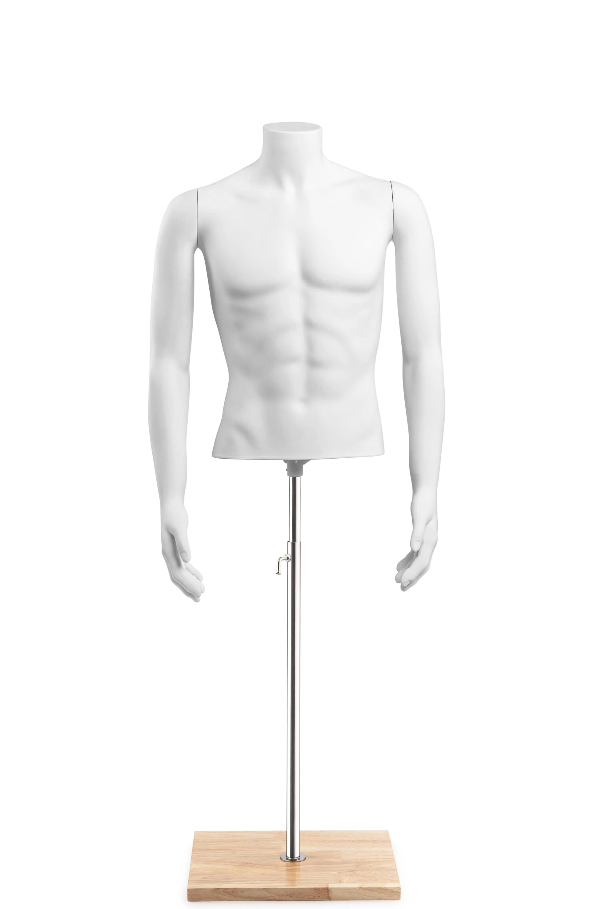 Male Headless Torso Mannequin with Removable Arms - Image 242